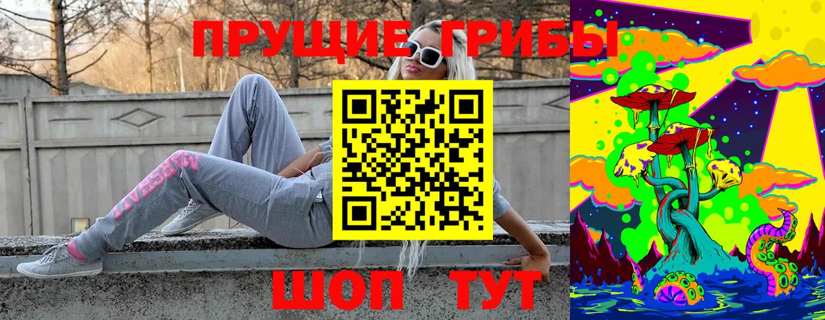 Северск  Псилоцибиновые грибы мицелий  Вход с VPN  Псилоцибиновые грибы мухоморы 